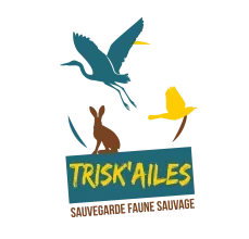 Trisk'ailes