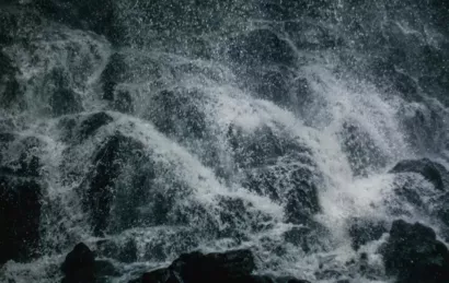 Les Jardins Partagés du Grand Cerf