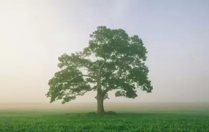 Mission Locale du Pays de Caux Vallée de Seine