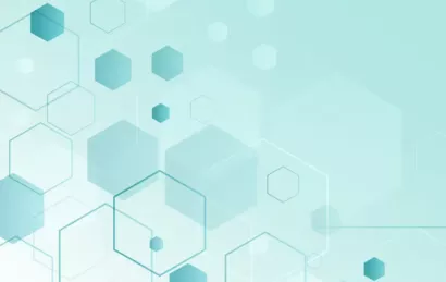 Œuvres hospitalières françaises de l'Ordre de Malte France