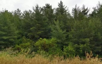 Territoires en liens - Nord Est Essonne en Transition