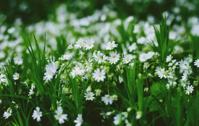 Zéro Déchet Epinay sur Seine