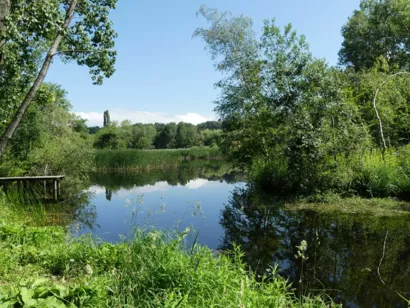 Aménager la passe à crapauds à Haute-Jarrie