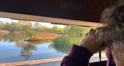 Pour observer les oiseaux