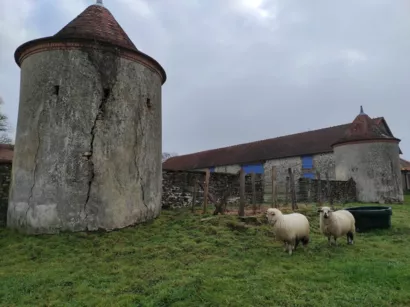 Préserver les anciens pigeonniers de la ferme de Las Croux à Cromac