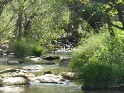 Protéger la zone humide de la Resclauve à Tourves