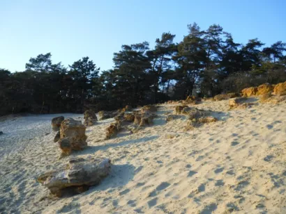 Protéger le patrimoine géologique et paysager à Châlons-sur-Vesle