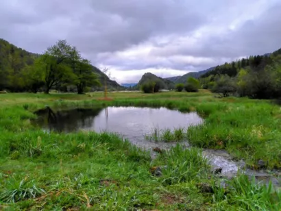 Renaturer la zone humide du lac de Kruth-Wildenstein