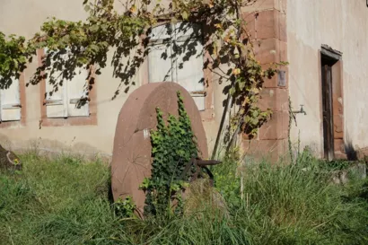 Restaurer l'atelier à Weinbourg