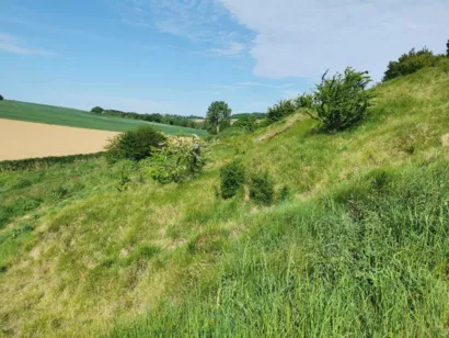 Restaurer l'espace naturel le Coteau de Delettes