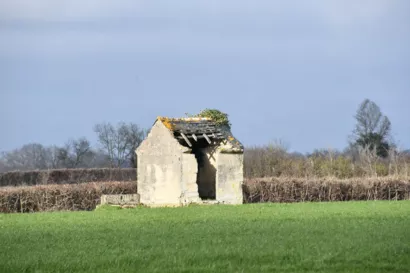 Restaurer la cabane de vignes à Val en Vignes