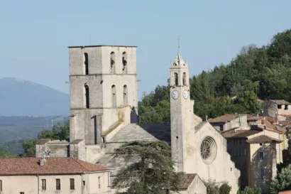 Restaurer la cathédrale Notre-Dame du Bourguet à Forcalquier
