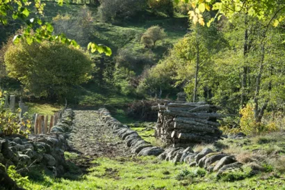 Restaurer la Chaussée à Saint-Martin-sous-Vigouroux