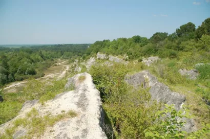 Restaurer la continuité écologique de la réserve naturelle régionale de Tercis-les-Bains