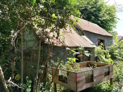 Restaurer la minoterie du vieux domaine à la Ravine des Cabris