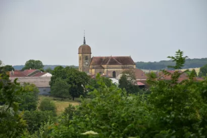 Restaurer la toiture de l'église Notre-Dame-de-l'Assomption à Montigny-lès-Cherlieu