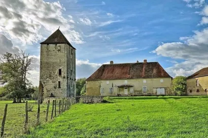 Restaurer la toiture et les linteaux de la tour à Seveux-Motey