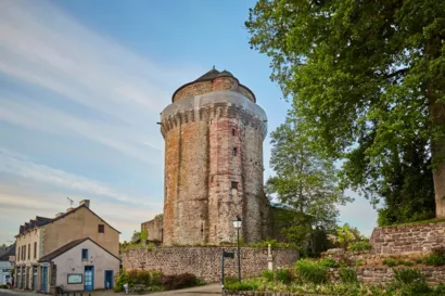 Restaurer la tour du Papegaut à Montfort-sur-Meu