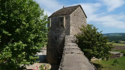Restaurer la tour Saint-Mayeul à Cluny