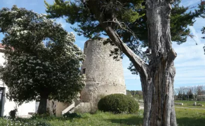 Restaurer le moulin à vent de Juffet à Montbazin