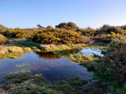 Restaurer le réseau hydrographique de l'île d'Yeu