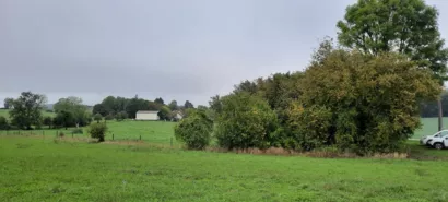 Restaurer le verger haute tige à Loisail