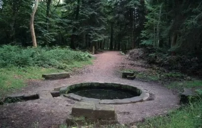 Restaurer les fontaines de la forêt de Tronçais