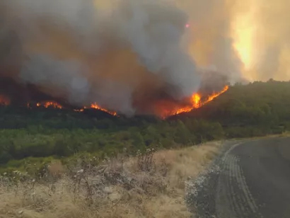 Restaurer les forêts détruites dans l'Aude