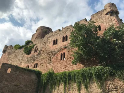 Restaurer les ruines du château de Kintzheim