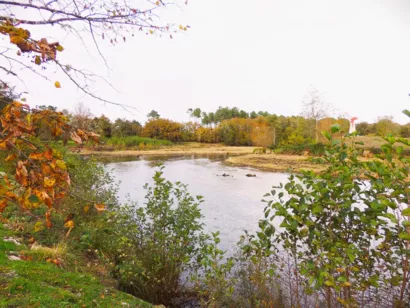 Sauver l'étang des forges à Brocas